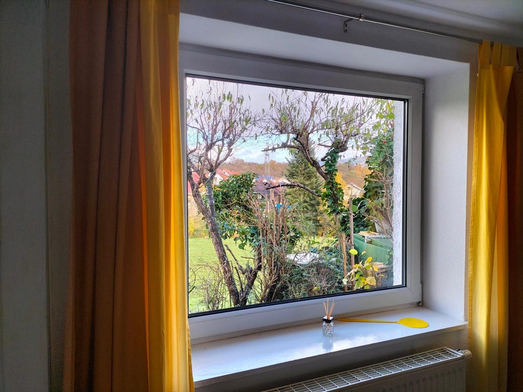 Pension Rosenblick Mörlenbach Exteriér fotografie