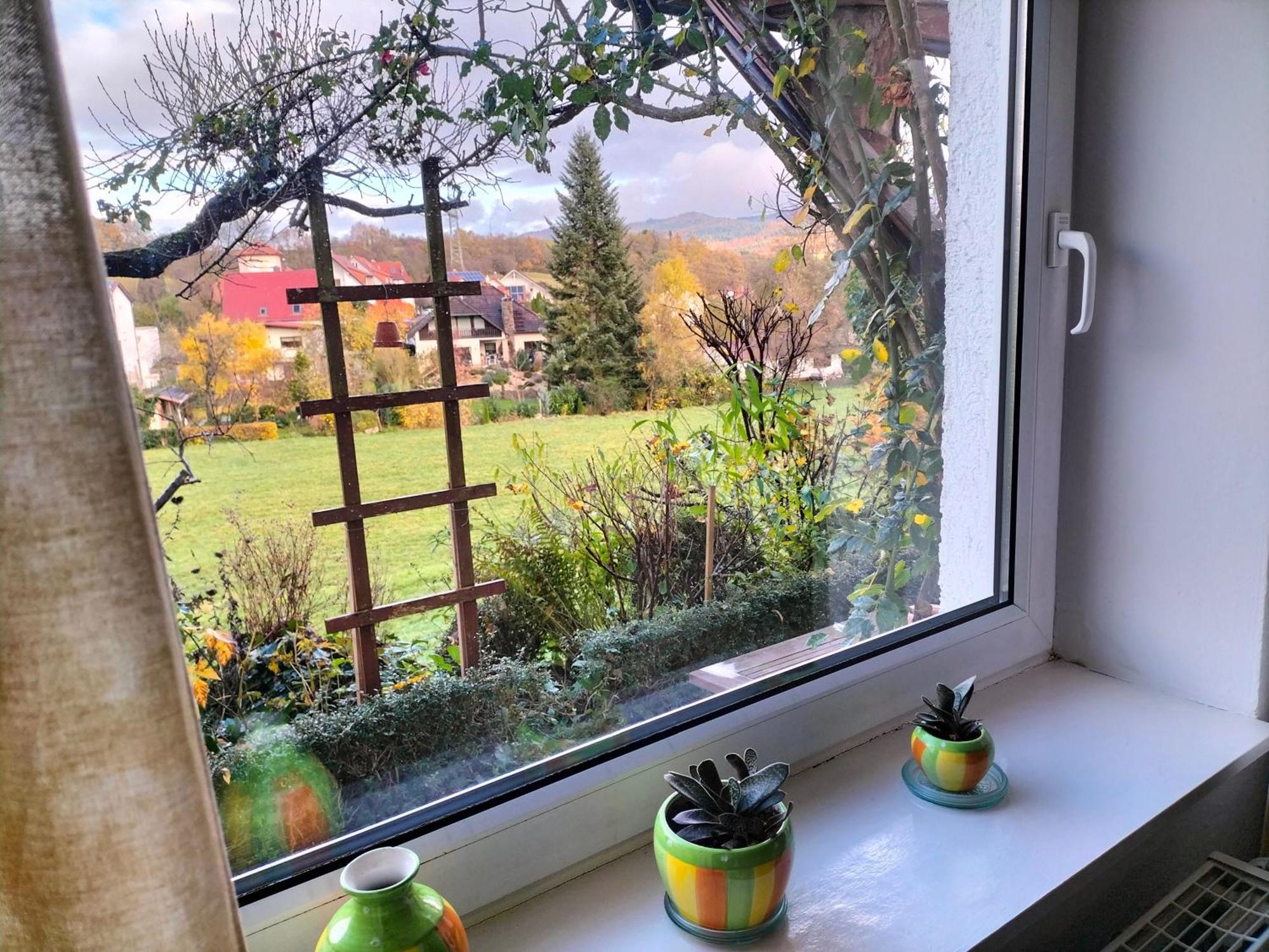 Pension Rosenblick Mörlenbach Exteriér fotografie